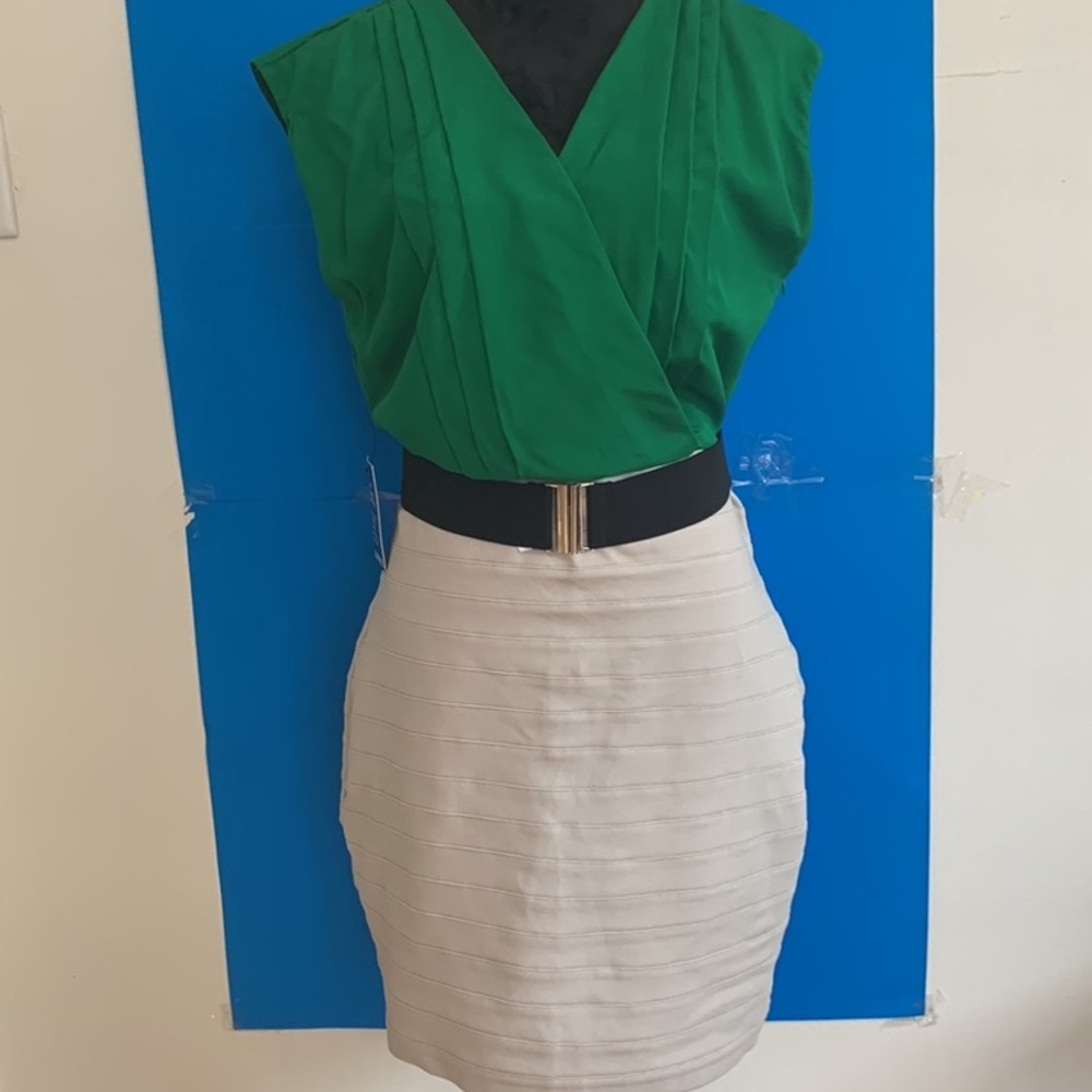 COPY - EXPRESS NEW Fitted Dress - Picture 2 of 14